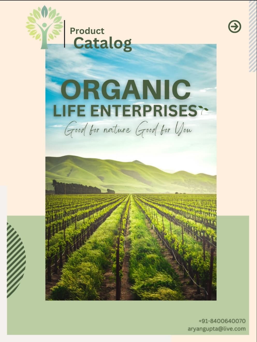 Product Catalog Cover