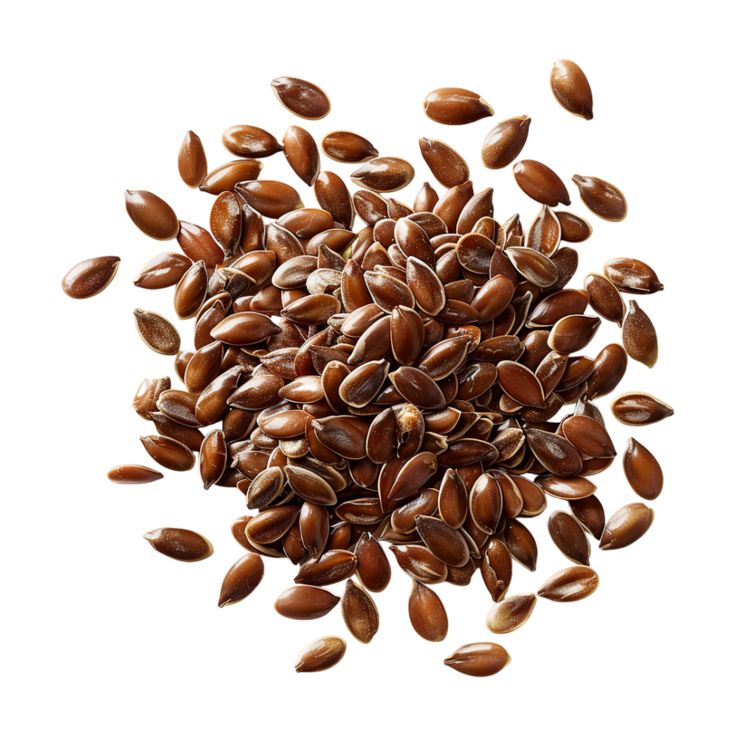 Flax Seeds