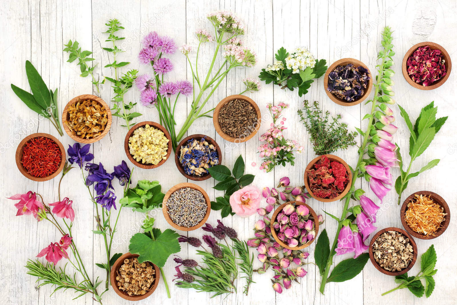 Medicinal Flowers