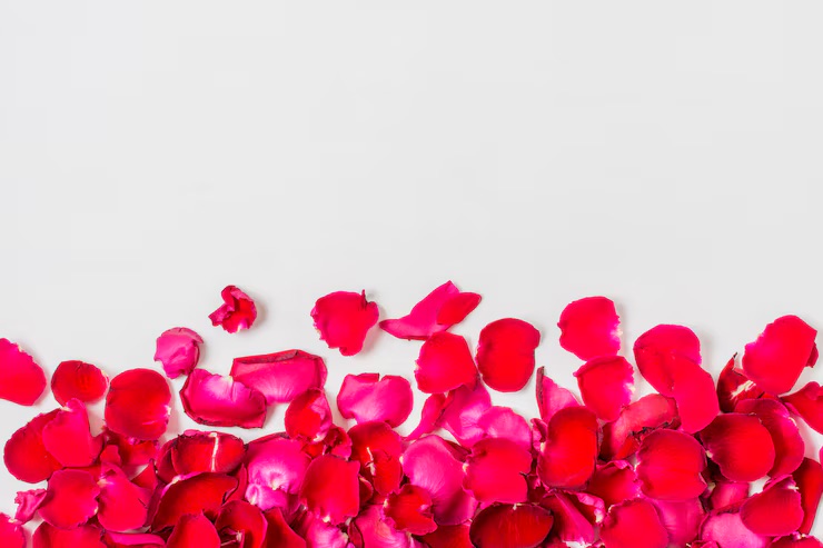Rose Petals