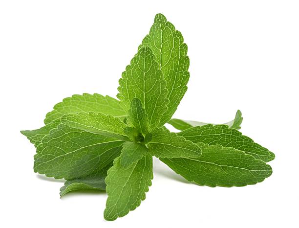 Stevia Leaves